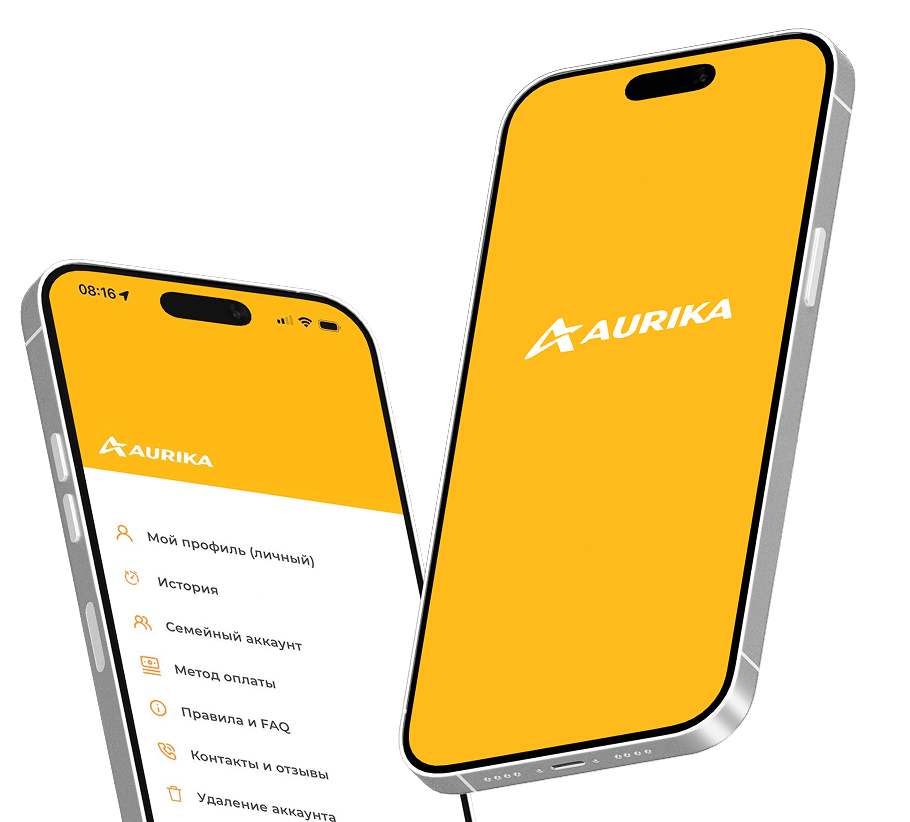Приложение Aurika